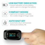 BPL Medical Technologies Smart Oxy Finger Oximeter - Image 3